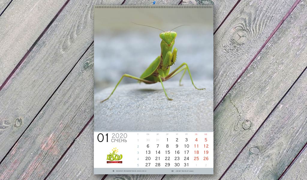 Календар Комахи настінний перекидний,&nbsp; Art: 004-N